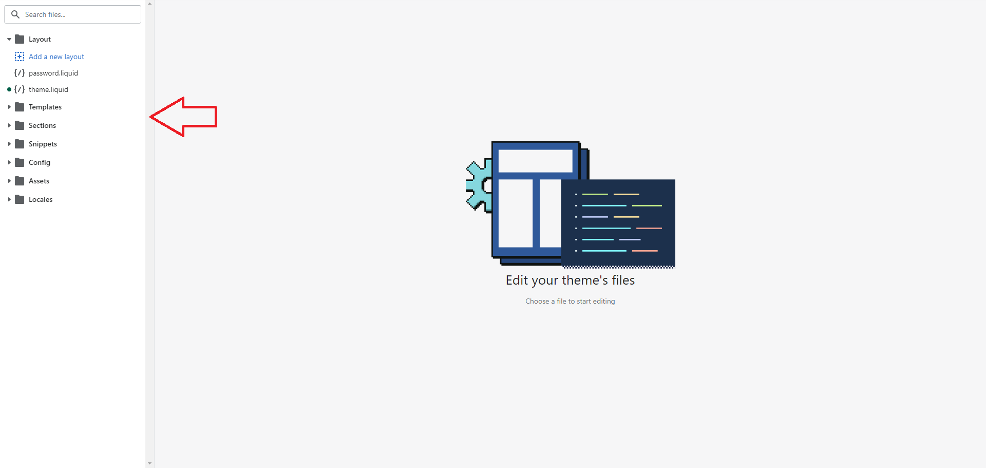 Screenshot of Shopify Admin-Editing Code
